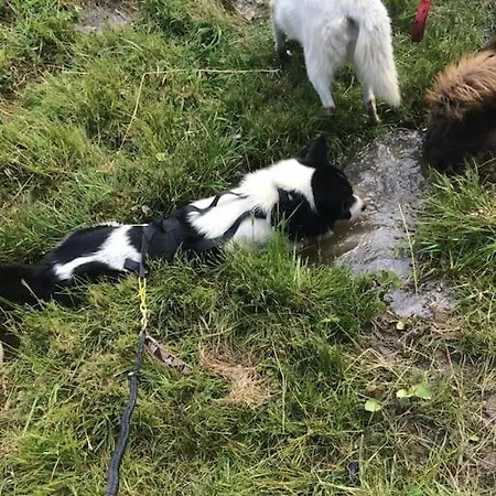 De La Marmotte - Aime 2000 Apartmán La Plagne